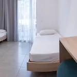 Otel Delfinia 4*
