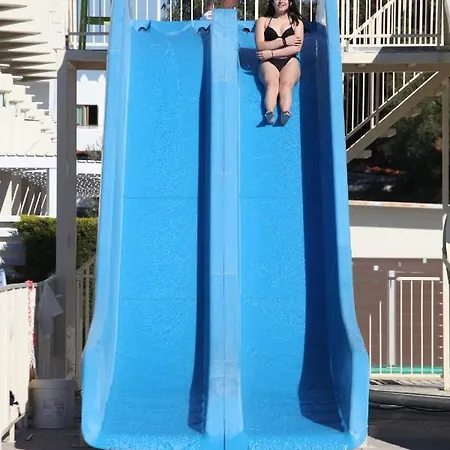 Delfinia קולימביה