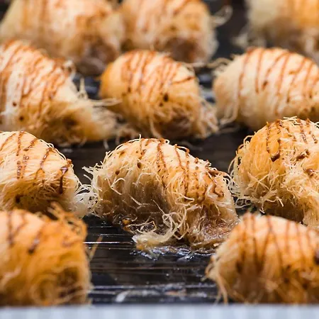 Delfinia מלון 4*