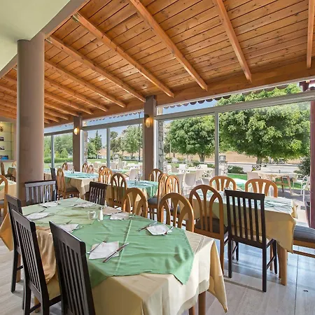 Delfinia קולימביה