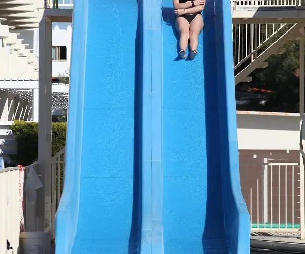 Delfinia קולימביה